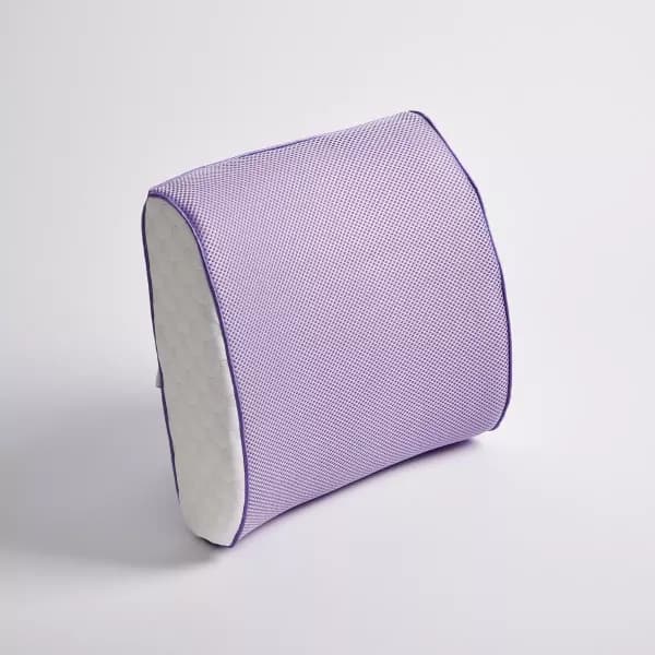 Back Cushion