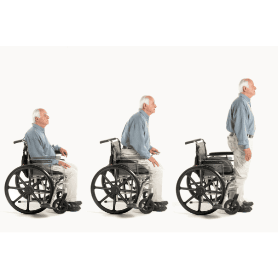 SitnStand Lift Assist - Wheelchair