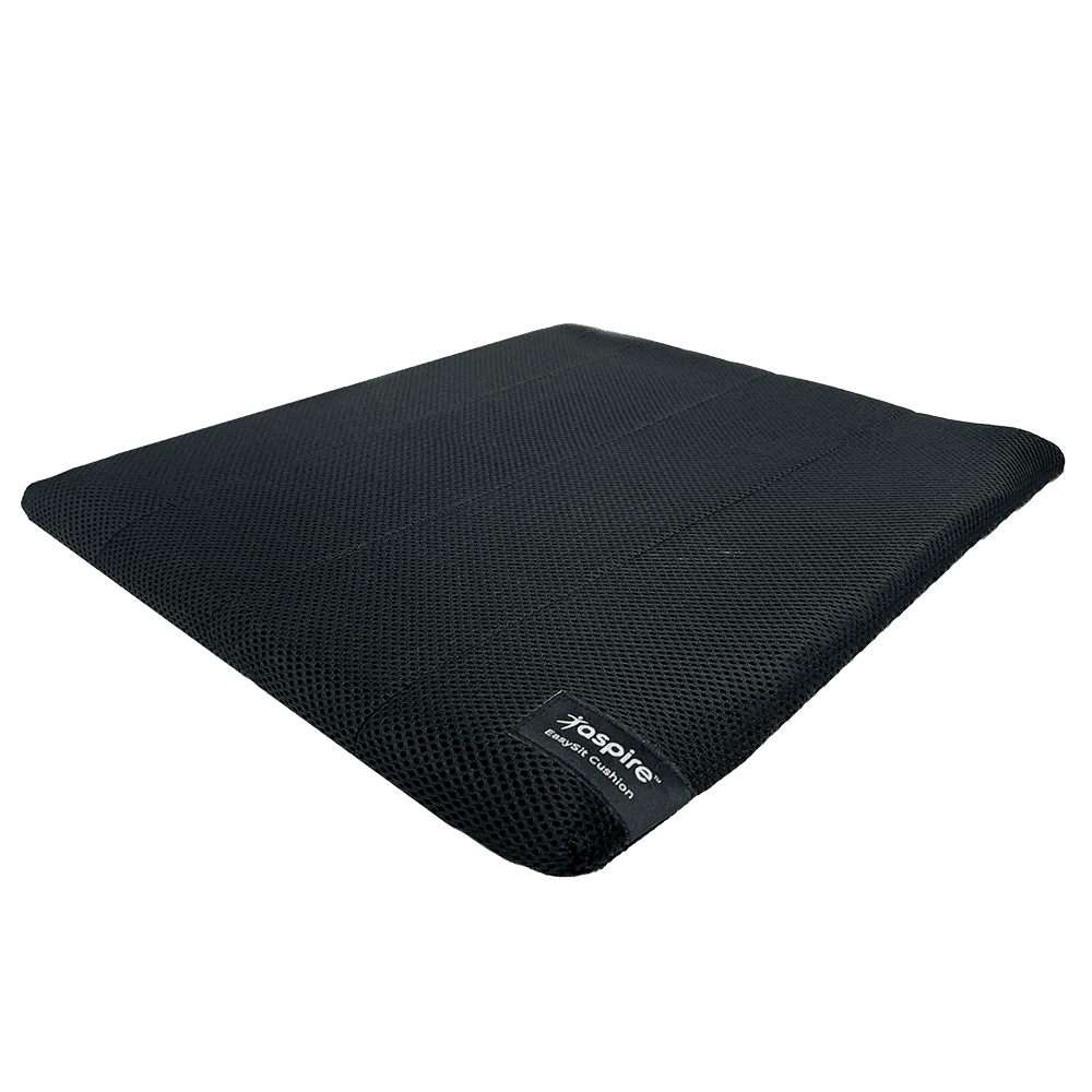 Aspire EasySit Cushion